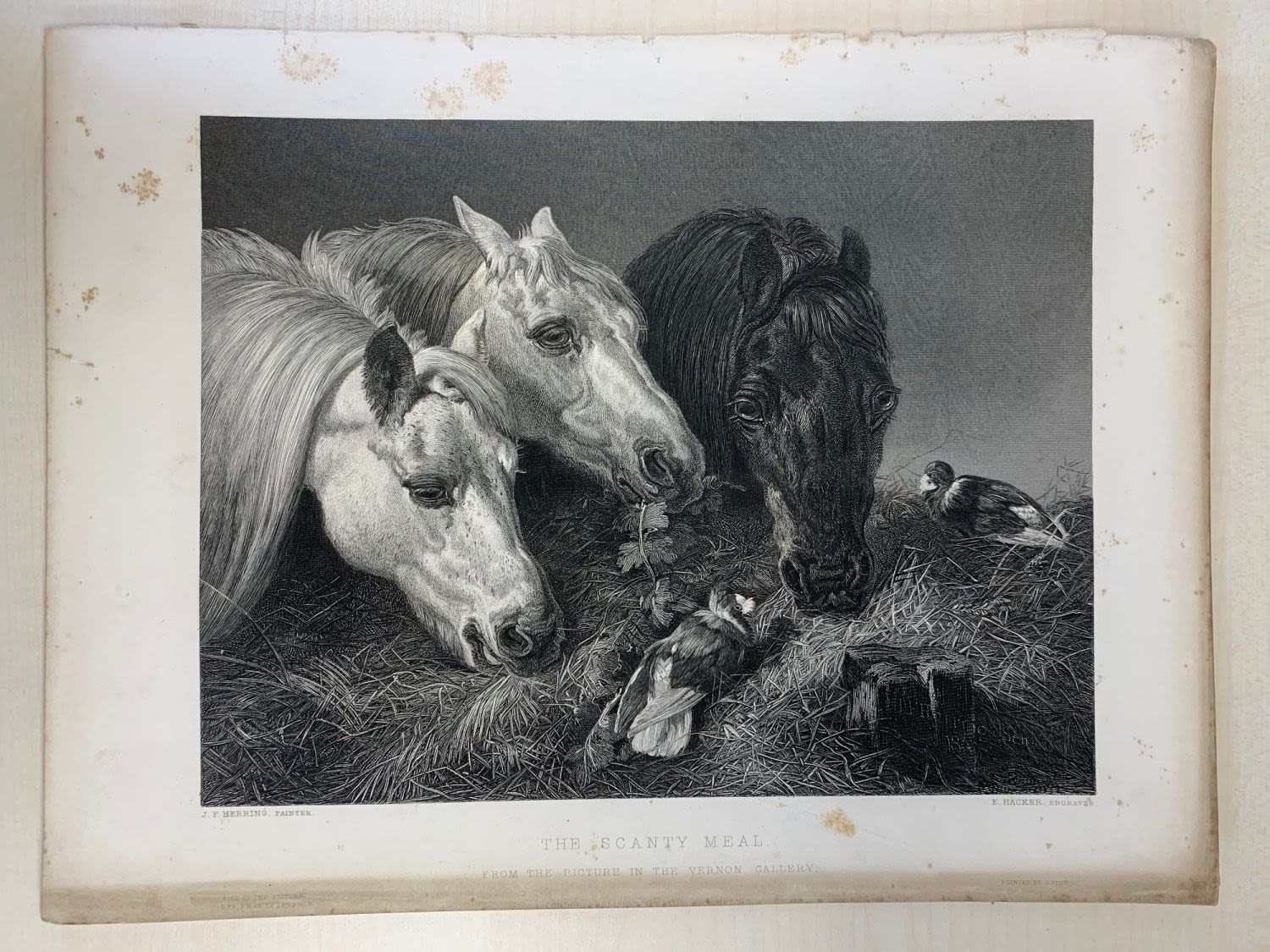 Vintage prints of engravings, 19thC (8) 24x 32 cm (LA 3). - Image 4 of 8