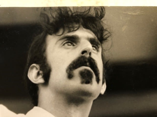 Frank Zappa photograph by David Redfern. Silver gelatin stamp on reverse 20x25 cm - Image 2 of 5