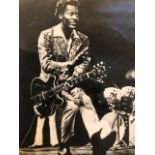 Music artists photographs. Includes Chuck Berry.