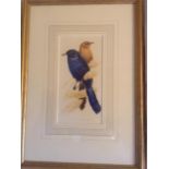 Watercolour framed glazed signed David Ord Kerr..