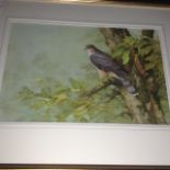 Framed signed watercolour Niel cox