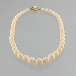 Angel skin coral necklace Necklace of coral pearls with 14 mm to 6,8 mm diameter, clasp openwork