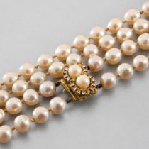 Double pearl necklace Necklace of white pearls of 6 to 7 mm diameter with gold clasp set with two
