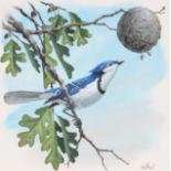 Don Balke (B. 1933) "Blue Jay" Original W/C