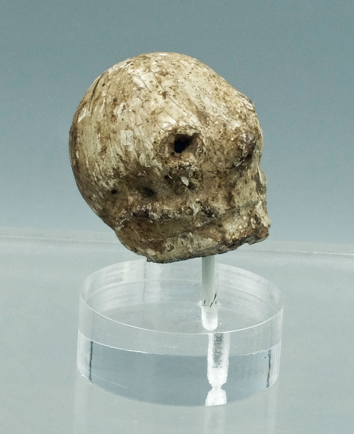 Human Skull Amulet - Teotihuacan, Mexico - Image 2 of 3