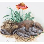 Don Balke (B. 1933) "Southeastern Pocket Gopher"