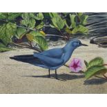 H. Douglas Pratt (B. 1944) "Blue-gray Noddy" Oil