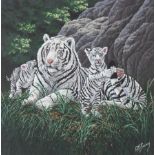 R.G. Finney (B. 1941) "White Siberian Tiger" Oil