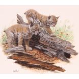 Don Balke (B. 1933) "Canada Lynx" Watercolor