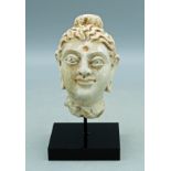 Gandharan Stucco Head - Indus Valley