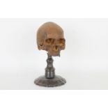 Neapolitan Gesso Carving of a Memento Mori Skull