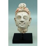 Gandharan Stucco Head - Indus Valley