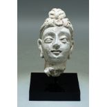 Gandharan Stucco Head - Indus Valley