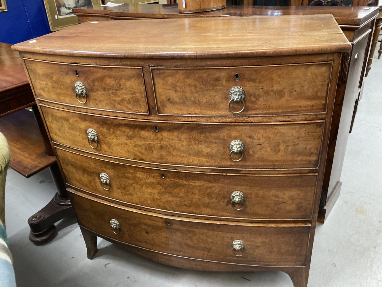 19th cent. Mahogany bow front chest of two over three drawers on splayed supports and lion's head