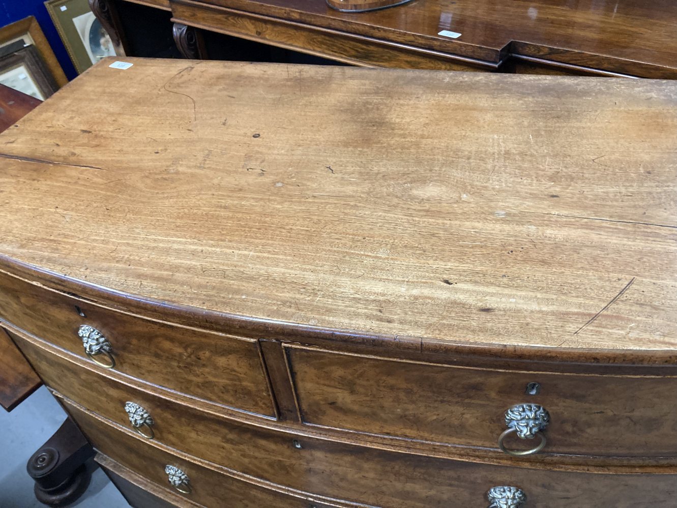 19th cent. Mahogany bow front chest of two over three drawers on splayed supports and lion's head - Image 3 of 5