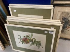 20th cent. Coloured lithographs fruit and flowers by Riefel and Lobse framed and glazed. Set of 6.