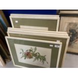 20th cent. Coloured lithographs fruit and flowers by Riefel and Lobse framed and glazed. Set of 6.