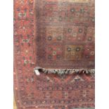 Carpets & Rugs: 20th cent. Turkman woolen carpet, red ground, six borders, geometric stylised