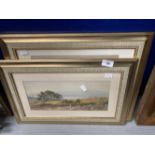 19th cent. English School. Watercolour on board. Inscribed to verso Woodbury Common by John