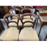 Victorian mahogany balloon back dining chairs, upholstered seats on octagonal turned legs. (6)