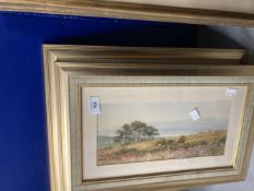 19th cent. English School. Watercolour on board. Inscribed to verso Woodbury Common by John