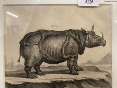 A pair of 19th century black-printed engravings of an Elephant and a Rhinoceros, possibly