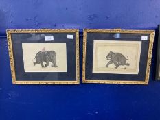 Indian School: A pair of late 19th / early 20th century watercolours of Elephants, one being