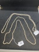 Jewellery: Opera length row of cultured pearls. One hundred and forty seven uniform cultured pearls.