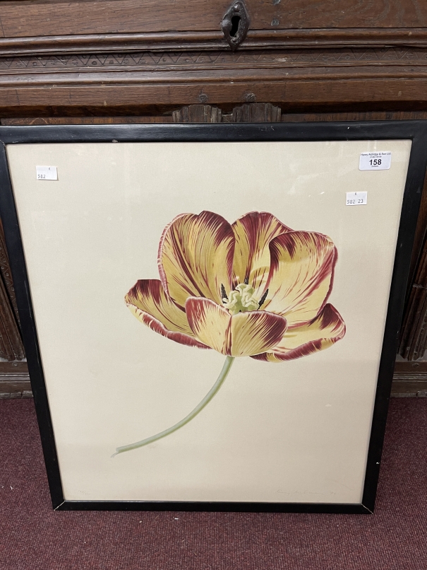 20th cent. Watercolour, Roman skyline, framed and glazed. 14ins. x 11½ins, print of a black cockatoo