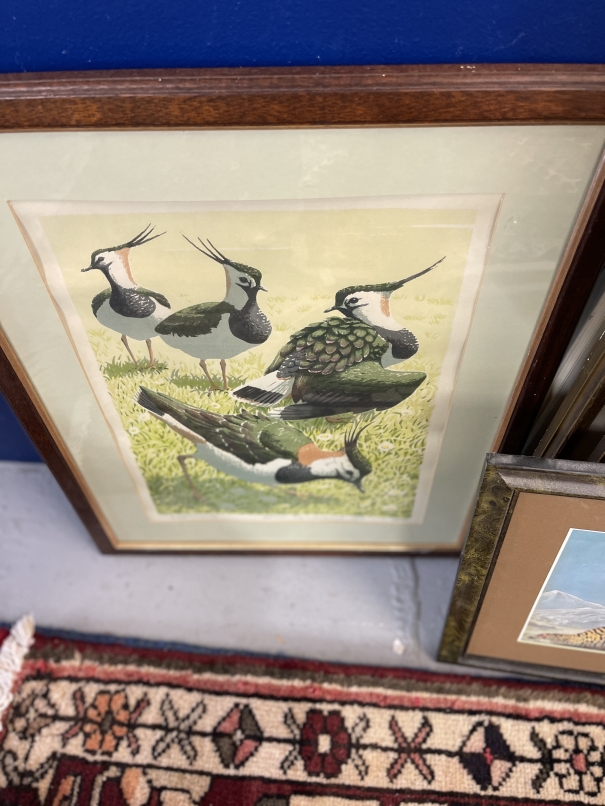 John Tennent: 1977 Lapwings print 62 of 75 signed in pencil, framed and glazed. 11¾ins. x 15ins. Two