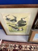 John Tennent: 1977 Lapwings print 62 of 75 signed in pencil, framed and glazed. 11¾ins. x 15ins. Two