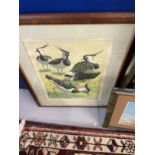 John Tennent: 1977 Lapwings print 62 of 75 signed in pencil, framed and glazed. 11¾ins. x 15ins. Two