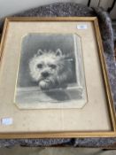 20th cent. English School: Pencil on paper of a Highland terrier signed W. Oliver 1901. 8ins. x