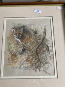 Nora Howarth: Pastels on paper, fox in undergrowth, signed, framed and glazed. 11ins. x 9ins. Jack