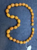 Jewellery: Amber necklet consisting of thirty-two oval butterscotch amber beads, size of beads 20mm.