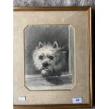 20th cent. English School: Pencil on paper of a Highland terrier signed W. Oliver 1901. 8ins. x