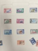 Stamps: The Triumph illustrated album, good schoolchild collection of mainly used World stamps. Plus