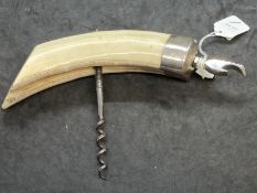 Corkscrews/Wine Collectibles: Early 20th cent. White metal warthog/boar tusk handled corkscrew steel