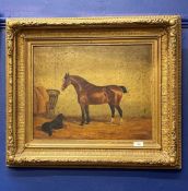 Edward Garraway: 19th cent. Oil on canvas, horse and dog in stable, signed lower right Edward