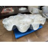 Natural History/Conchology: Early 20th cent. Giant clam (Tridacna Gigas) half shell. Five waves to