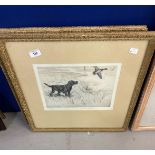 George Vernon Stokes (1873-1954): Etching in colours, setter and pheasant No. 72/75, bears label