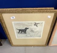 George Vernon Stokes (1873-1954): Etching in colours, setter and pheasant No. 72/75, bears label
