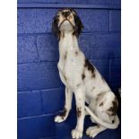 20th cent. Oversize ceramic model of a pointer dog. 29ins.