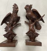 Late 19th cent. Walnut carved decorative parakeets, a pair. 18ins.