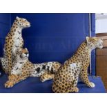 20th cent. Post-war oversize Continental figures of cheetahs, one laying down, two seated. One A/