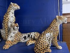 20th cent. Post-war oversize Continental figures of cheetahs, one laying down, two seated. One A/