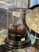 Cricket/Sporting: 1920s Nottingham/Derbyshire Cup Final Cricket Balls with white metal plaques '