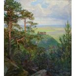 Friedrich Genutat, 1876-1958, Blick auf das Hambacher