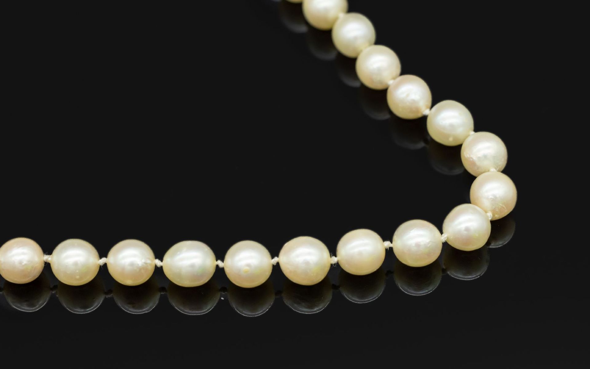 Akoyazuchtperlenkette,   cremef. Perlen, D. ca. 8 mm,