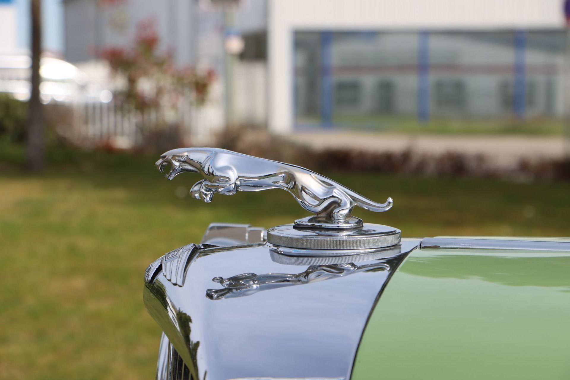 Jaguar MK IV 3,5 Liter Cabriolet,  Fahrgestellnummer: - Bild 9 aus 12